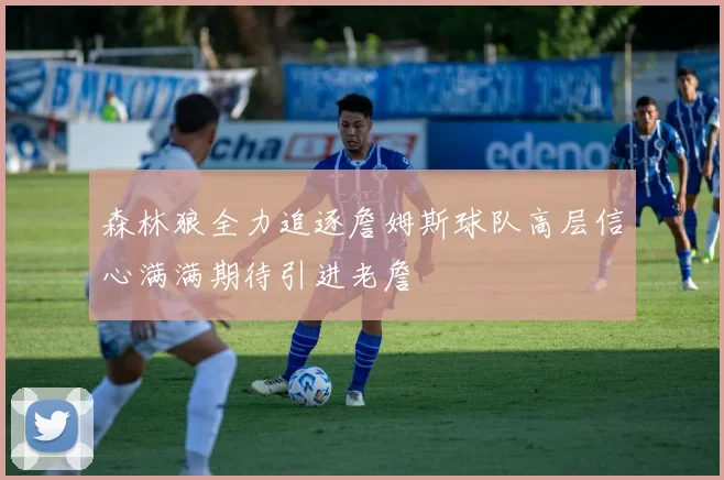 森林狼全力追逐詹姆斯球队高层信心满满期待引进老詹